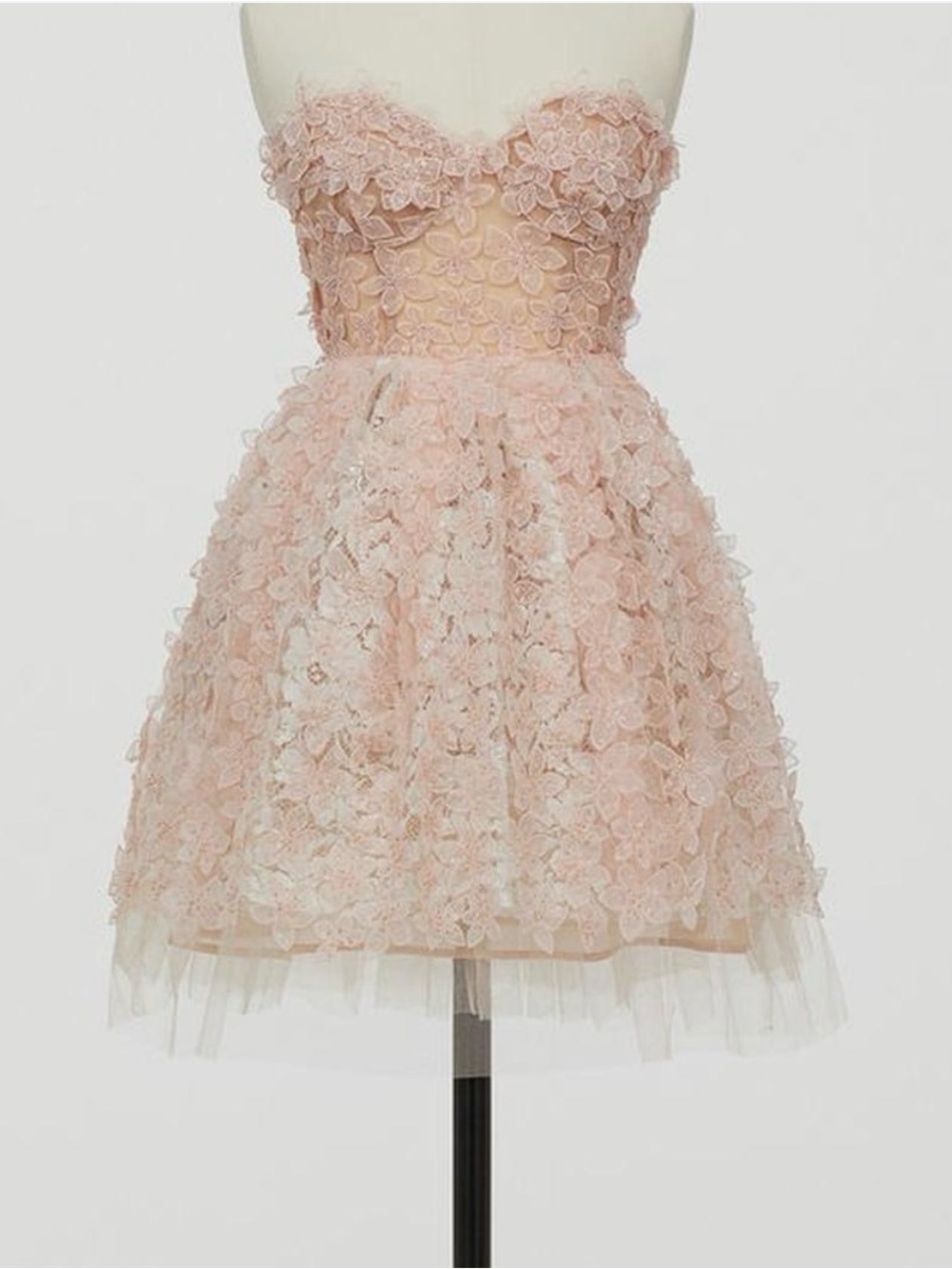 Strapless Floral Appliqué Party Dress in Blush